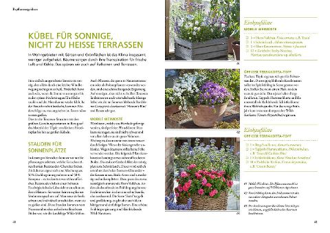 InsideView 3