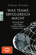 Cover-Bild zum Titel 'Was Teams erfolgreich macht' von 'Tobias Escher'