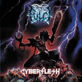 Cover-Bild zum Titel 'Cyberflesh (Longbox + Comic Book)' von 'Fulci/Talpah'