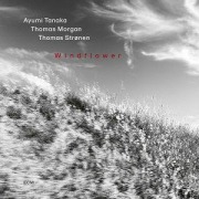 Cover-Bild zum Titel 'Windflower' von 'Ayumi Tanaka, Thomas Morgan, Thomas Strønen'
