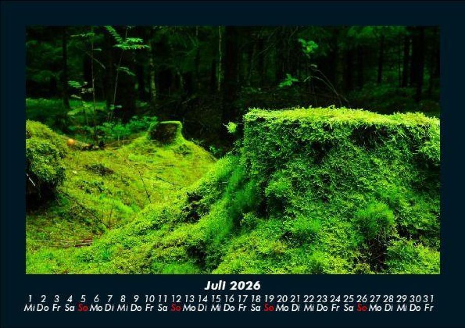 InsideView 11