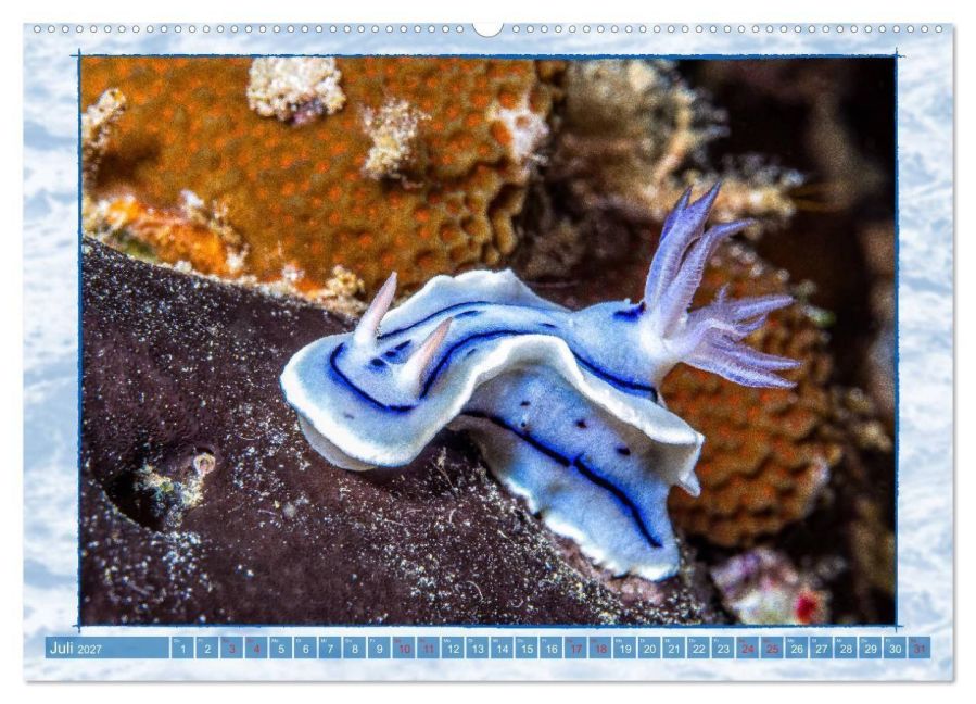 InsideView 12