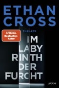Cover-Bild zum Titel 'Im Labyrinth der Furcht' von 'Ethan Cross'