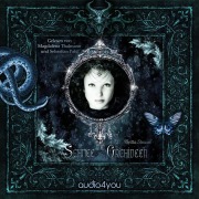 Cover-Bild zum Titel 'Schnee und Orchideen' von 'Britta Strauss'
