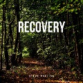 Cover-Bild zum Titel 'Recovery' von 'Steve Pavlina'