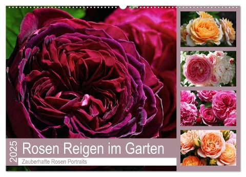 Rosen Reigen im Garten (Wandkalender 2025 DIN A2 quer), CALVENDO Monatskalender - Martina Cross