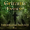 Cover-Bild zum Titel 'Fiðluleikarinn furðulegi' von 'Grimmsbræður'