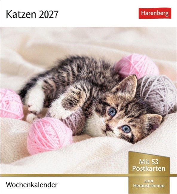 Katzen Postkartenkalender 2027 - Wochenkalender mit 53 Postkarten - 