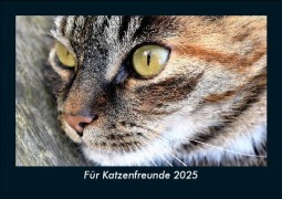Cover-Bild zum Titel 'Für Katzenfreunde 2025 Fotokalender DIN A5' von 'Tobias Becker'