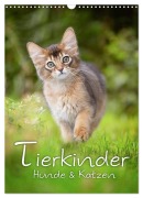 Tierkinder Hunde und Katzen (Wandkalender 2026 DIN A3 hoch), CALVENDO Monatskalender - Nicole Noack