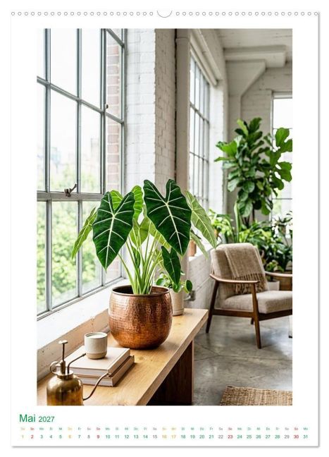 InsideView 10