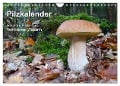 Pilzkalender (Wandkalender 2024 DIN A4 quer), CALVENDO Monatskalender - Rudolf Bindig