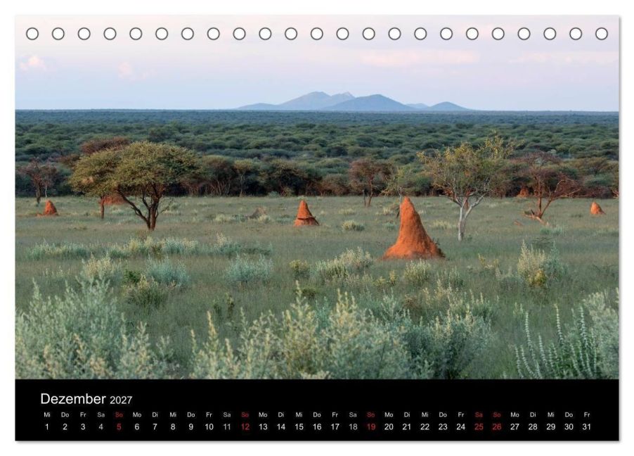 InsideView 4