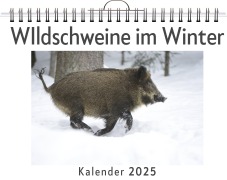 Cover-Bild zum Titel 'WIldschweine im Winter' von 'Luisa Weber'
