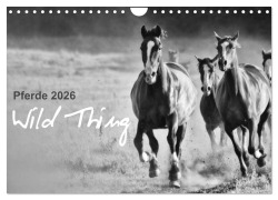 Cover-Bild zum Titel 'Pferde 2026 Wild Thing (Wandkalender 2026 DIN A4 quer), CALVENDO Monatskalender' von 'Sabine Peters'