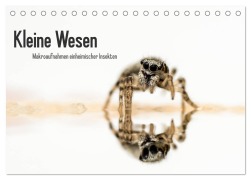 Kleine Wesen ¿ Makroaufnahmen von einheimischen Insekten (Tischkalender 2025 DIN A5 quer), CALVENDO Monatskalender - Andreas Voigt