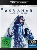 Cover-Bild zum Titel 'AQUAMAN: LOST KINGDOM 4K UHD' von ''