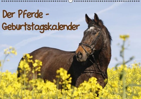 Pferde / Geburtstagskalender / AT-Version (Wandkalender immerwährend DIN A2 quer) - Antje Lindert-Rottke