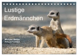 Cover-Bild zum Titel 'Lustige Erdmännchen (Tischkalender 2026 DIN A5 quer), CALVENDO Monatskalender' von 'Michael Weber'