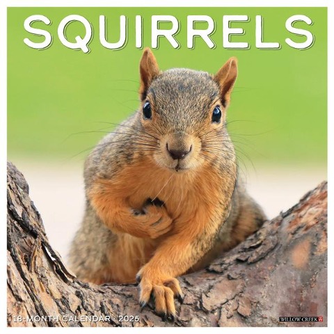 Squirrels 2025 12 X 12 Wall Calendar - Willow Creek Press