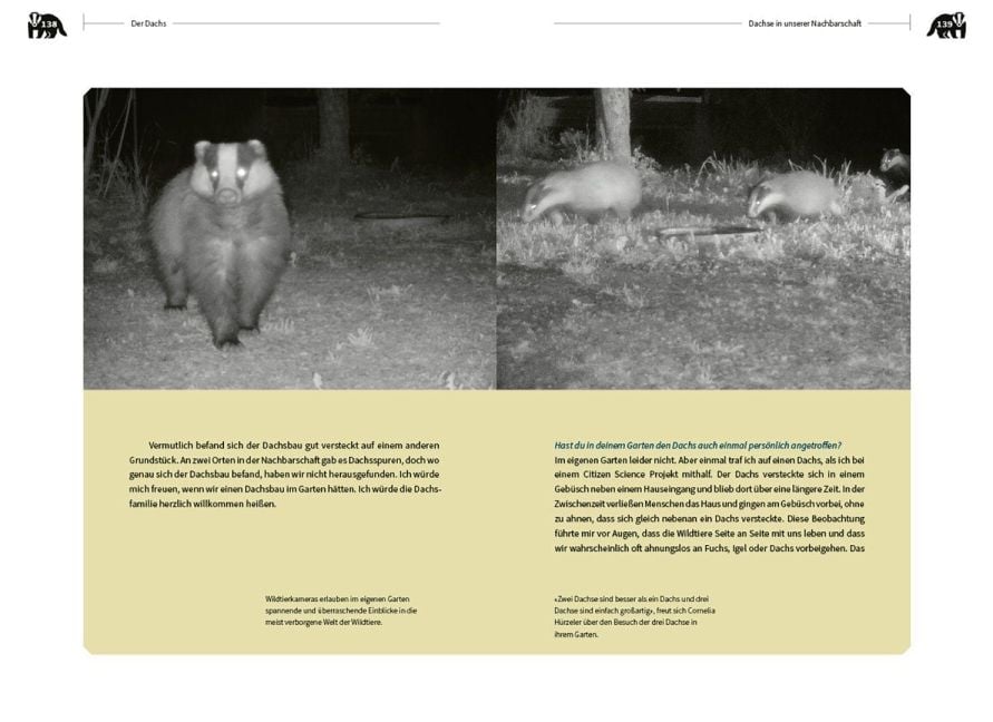 InsideView 4