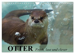 Otter. Frech, laut und clever (Wandkalender 2026 DIN A4 quer), CALVENDO Monatskalender - Elisabeth Stanzer