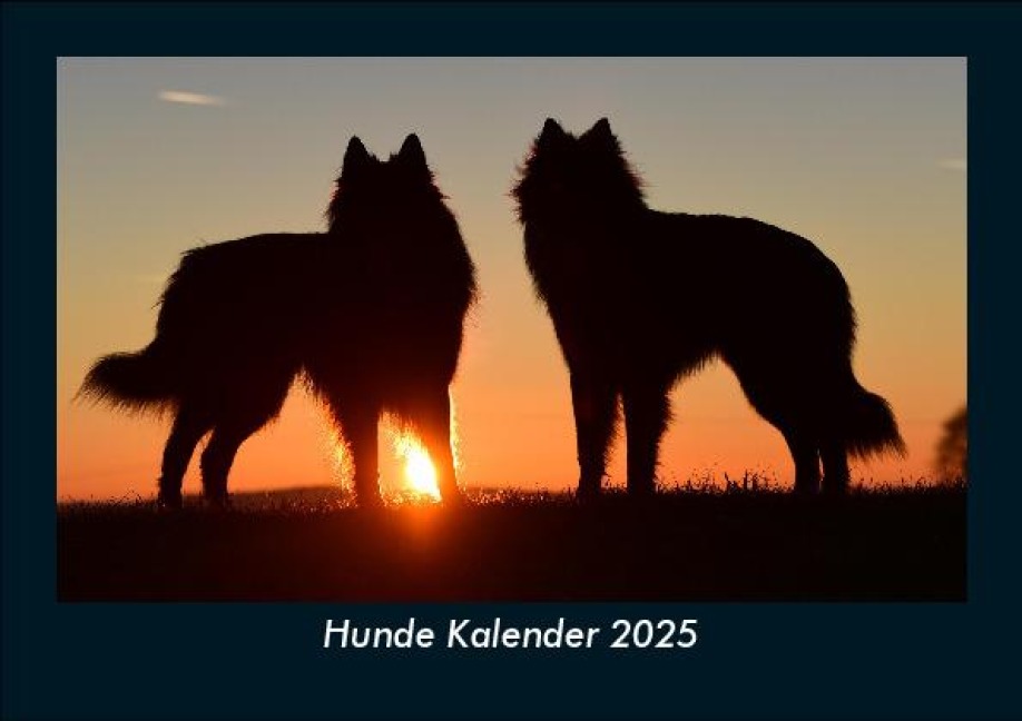 Hunde Kalender 2025 Fotokalender DIN A5 - Tobias Becker