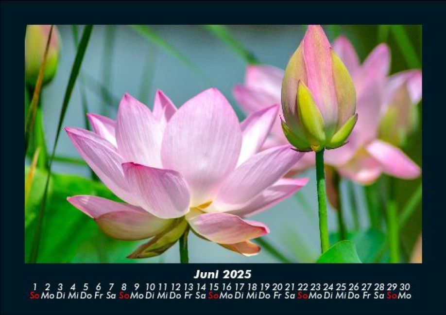 InsideView 10