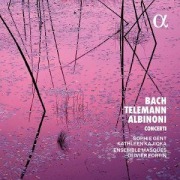 Cover-Bild zum Titel 'Bach,Telemann & Albinoni: Concerti' von 'Olivier/Gent Fortin'