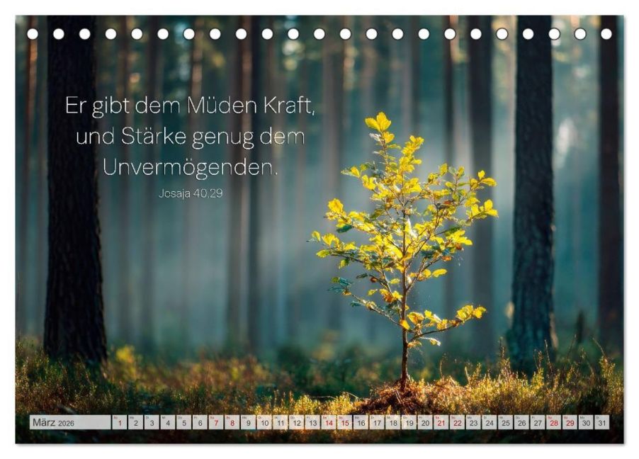 InsideView 8