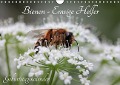 Cover-Bild zum Titel 'Bienen - Emsige Helfer (Wandkalender immerwährend DIN A4 quer)' von 'Silvia Hahnefeld'