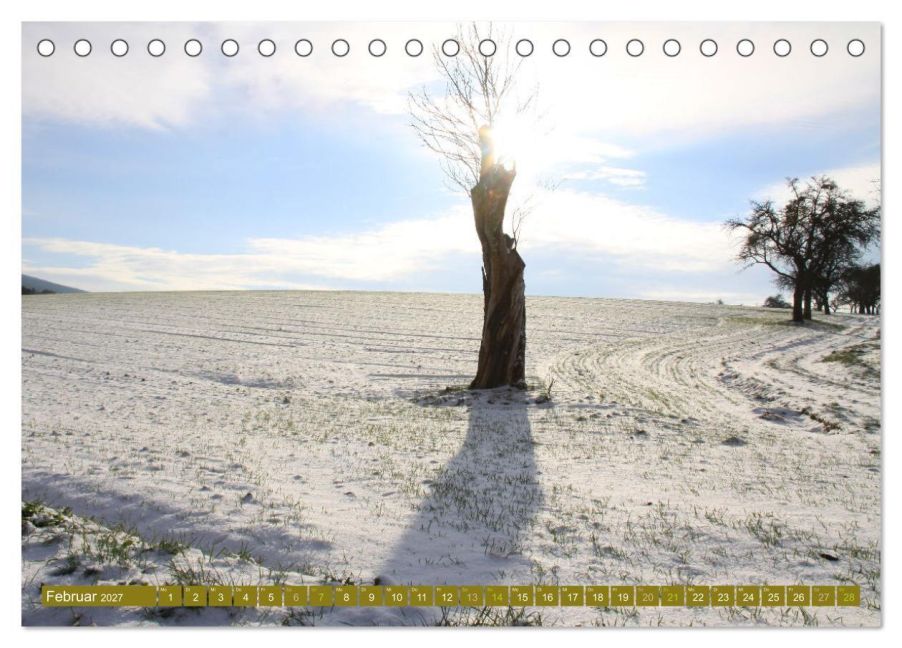 InsideView 7