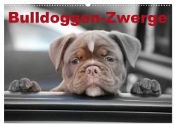 Cover-Bild zum Titel 'Bulldoggen-Zwerge (Wandkalender 2026 DIN A2 quer), CALVENDO Monatskalender' von 'Elisabeth Stanzer'