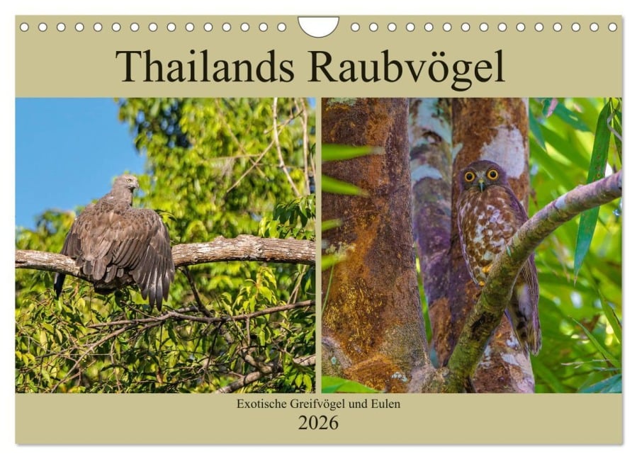 THAILANDS RAUBVÖGEL Exotische Greifvögel und Eulen (Wandkalender 2026 DIN A4 quer), CALVENDO Monatskalender - Arne Wünsche