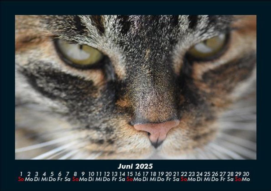 InsideView 10
