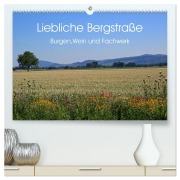 Liebliche Bergstraße - Burgen, Wein und Fachwerk (hochwertiger Premium Wandkalender 2026 DIN A2 quer), Kunstdruck in Hochglanz - Ilona Andersen