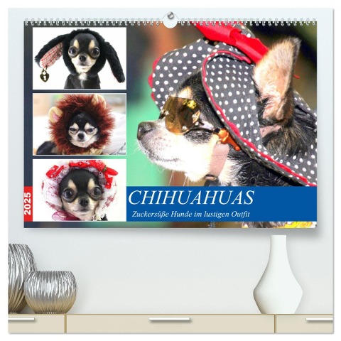 Chihuahuas. Zuckersüße Hunde im lustigen Outfit (hochwertiger Premium Wandkalender 2025 DIN A2 quer), Kunstdruck in Hochglanz - Rose Hurley