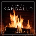 Cover-Bild zum Titel 'Nyugalom - Kandalló' von 'Rasmus Broe'