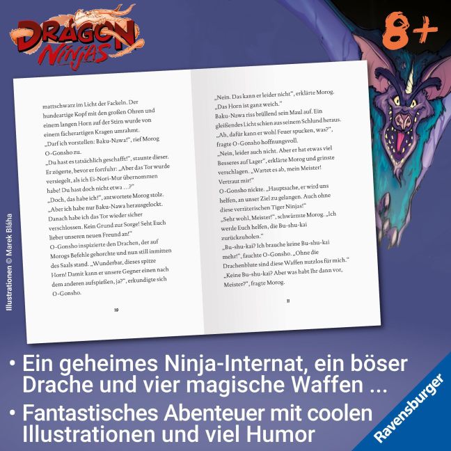 InsideView 4