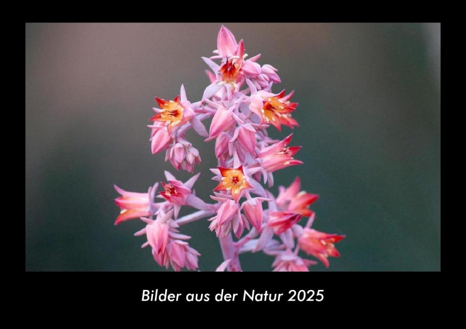 Bilder aus der Natur 2025 Fotokalender DIN A3 - Tobias Becker