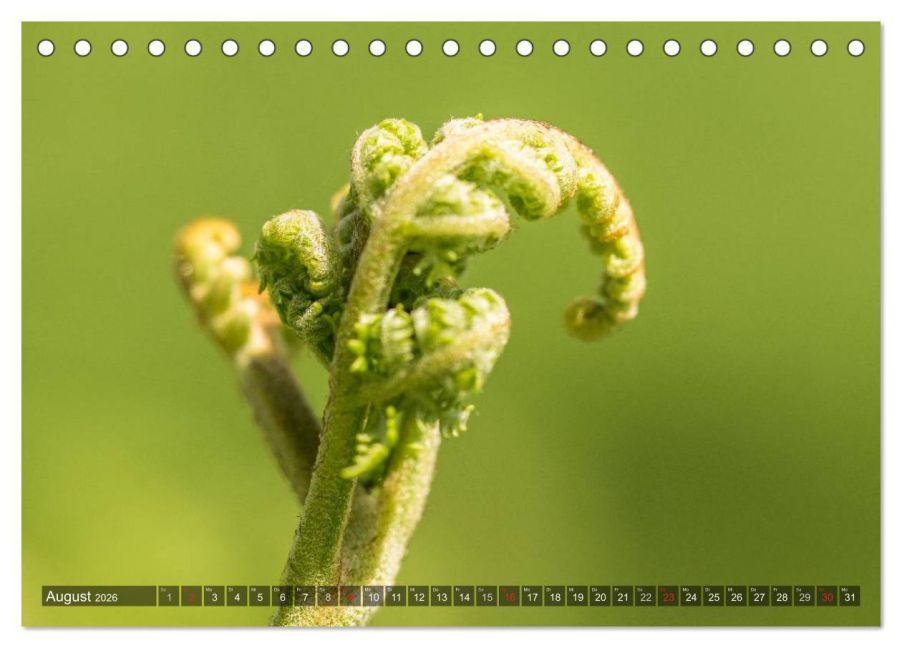 InsideView 13