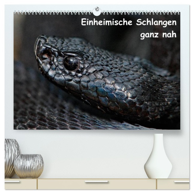Einheimische Schlangen ganz nah (hochwertiger Premium Wandkalender 2026 DIN A2 quer), Kunstdruck in Hochglanz - Stefan Dummermuth