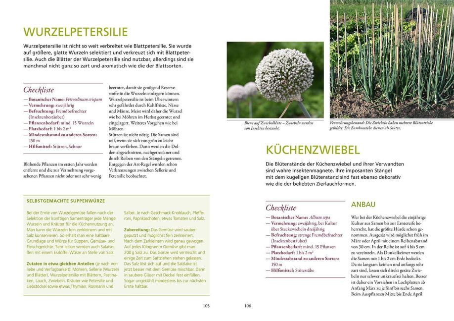 InsideView 5