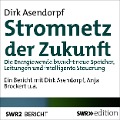 Cover-Bild zum Titel 'Stromnetz der Zukunft' von 'Dirk Asendorpf'