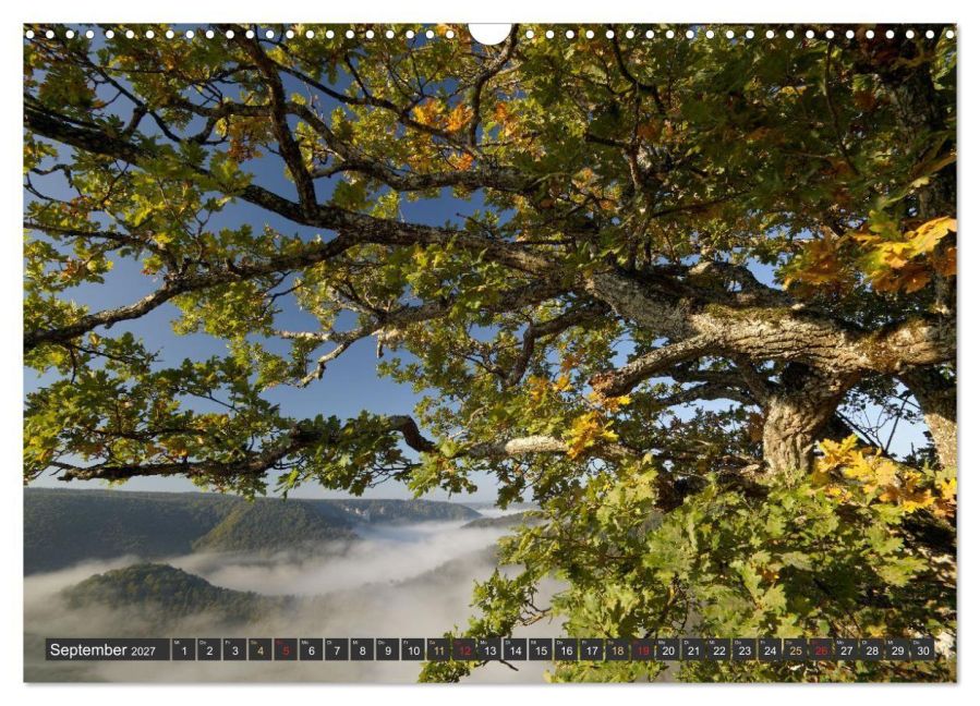 InsideView 14