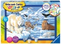 Cover-Bild zum Titel 'Tiere der Arktis Malen nach Zahlen Serie C' von ''