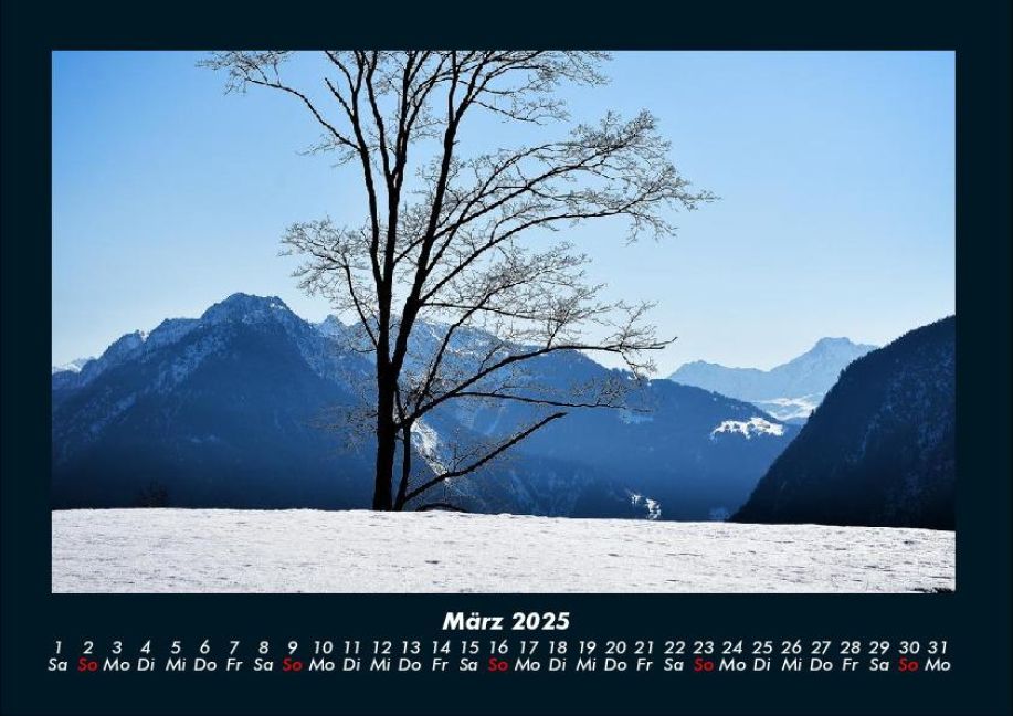 InsideView 7