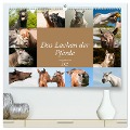 Das Lachen der Pferde - Lustige Gesichter (hochwertiger Premium Wandkalender 2025 DIN A2 quer), Kunstdruck in Hochglanz - Meike Bölts