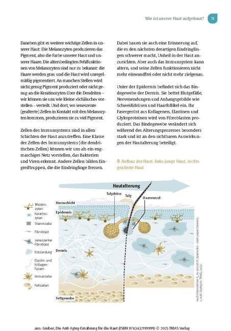 InsideView 7