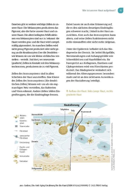 InsideView 7
